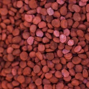 Ginseng Seed