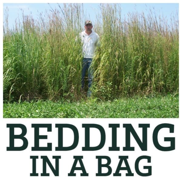 RWWP Bedding-in-a-Bag - 6 lb bag - Image 2